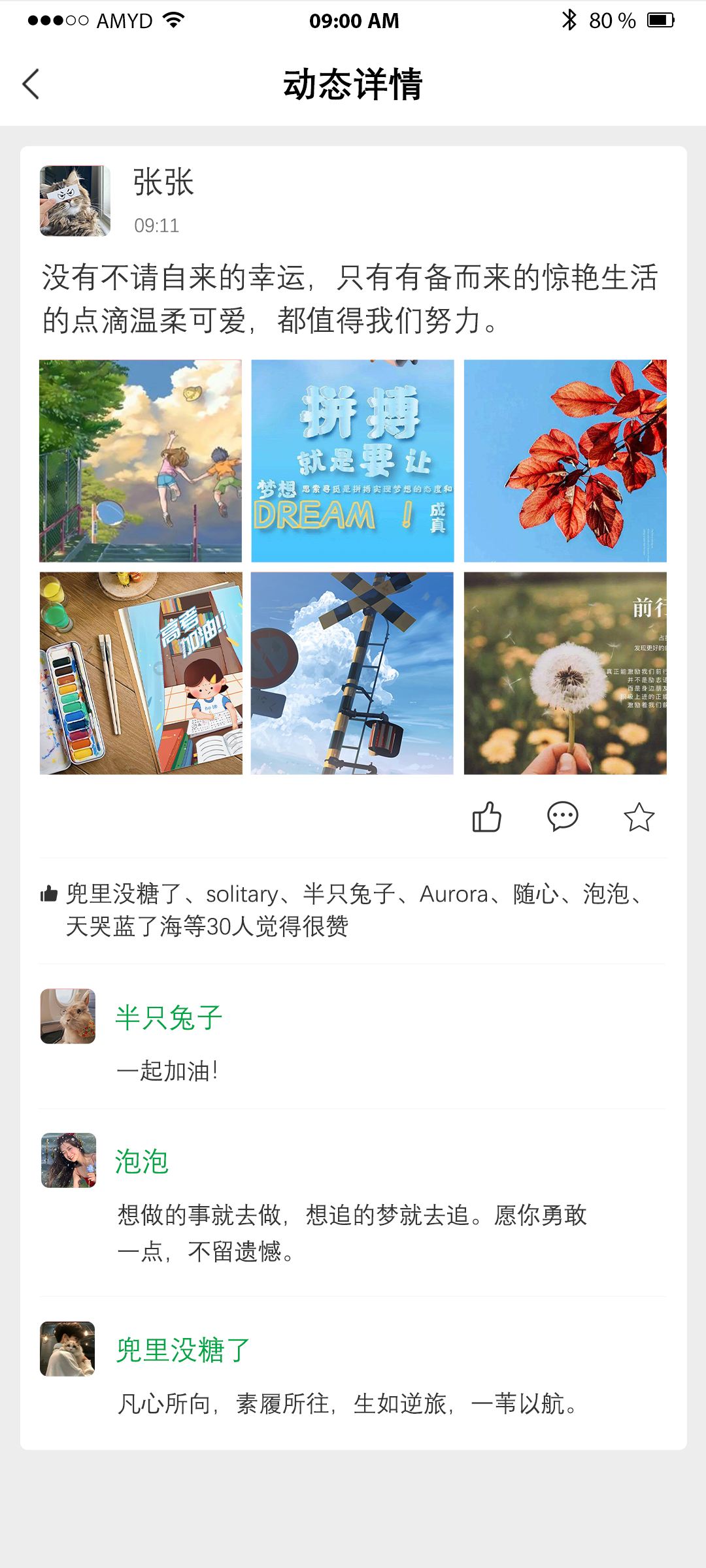 陈传健APP-案例解决方案